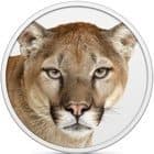 Mountain Lion Icon