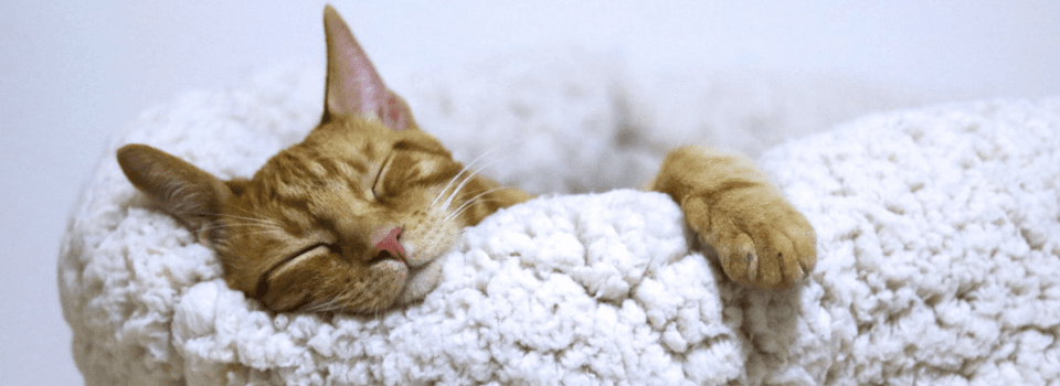 Extending your Mac’s battery life: Sleep, Hibernation and Deep Sleep modes