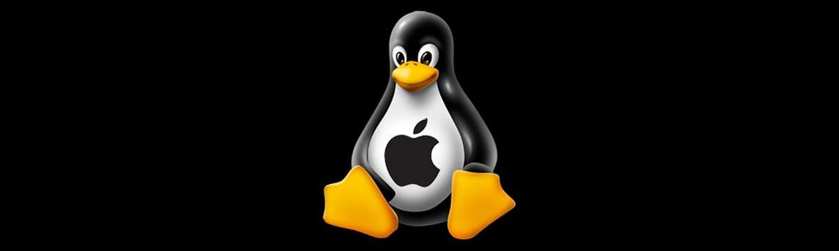 Turn your Mac into a whole new computer: Replace macOS with Linux