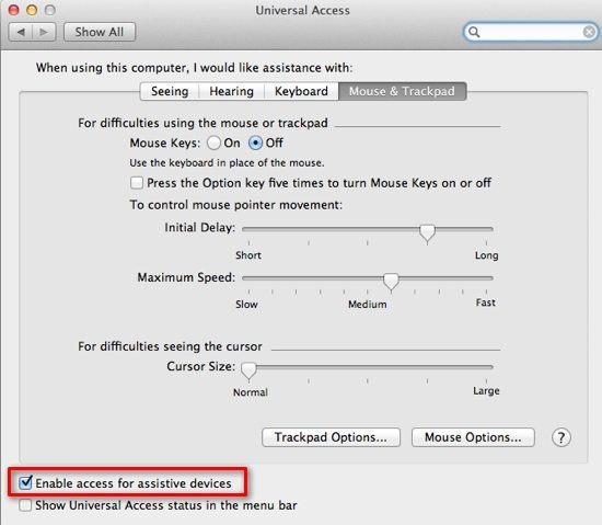 Universal Access Settings Screenshot