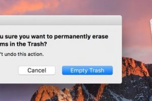 delete files macos sierra